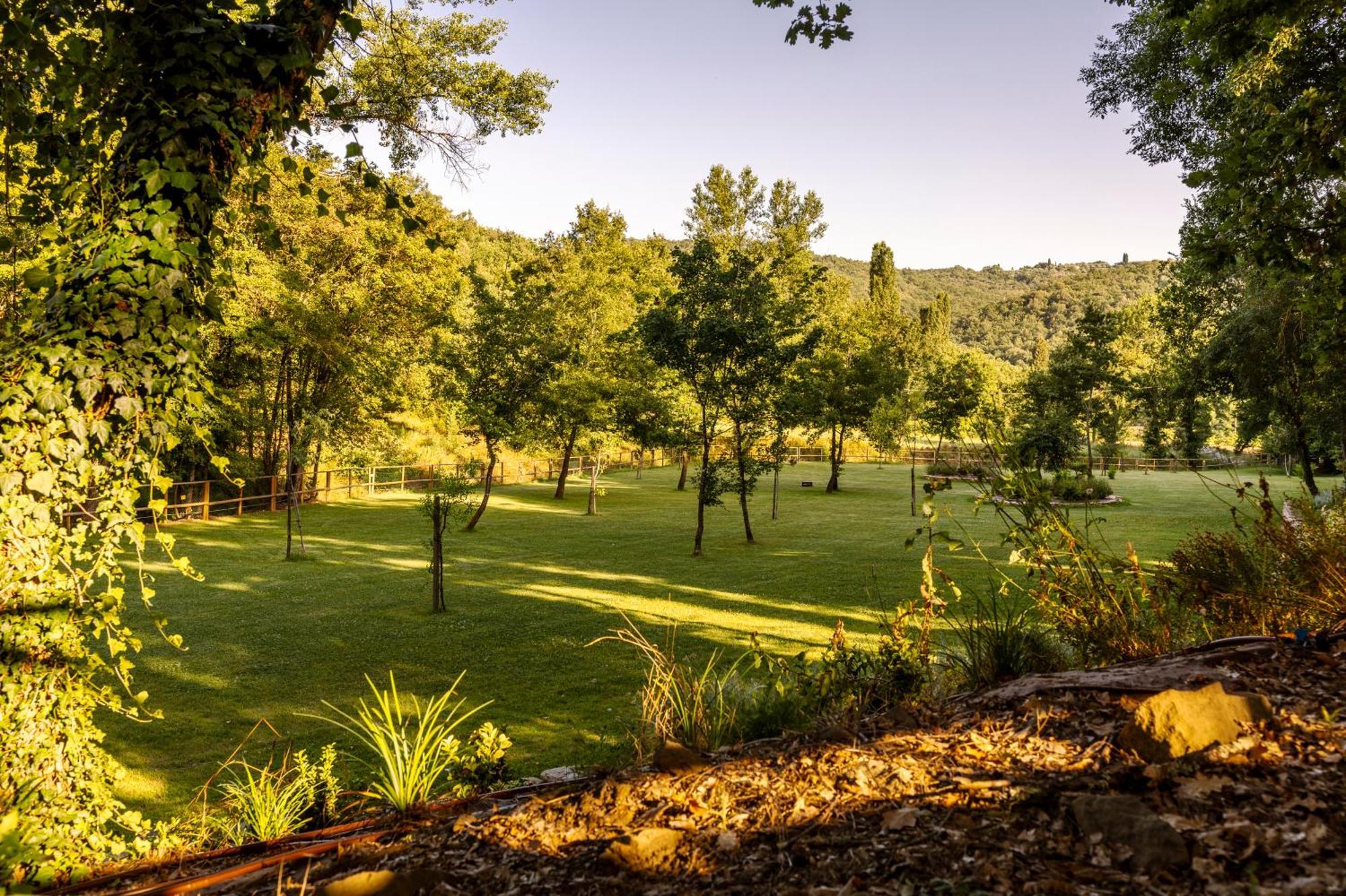 Podere La Casina Country Chic Rigomagno Εξωτερικό φωτογραφία